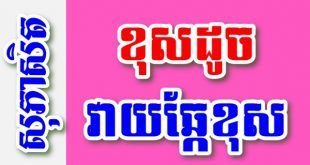 ខុសដូចវាយឆ្កែខុស – សុភាសិតខ្មែរអធិប្បាយ