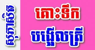 គោះទឹកបង្អើលត្រី – សុភាសិតខ្មែរអធិប្បាយ