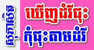 ឃើញដំរីជុះ កុំជុះតាមដំរី – សុភាសិតខ្មែរអធិប្បាយ