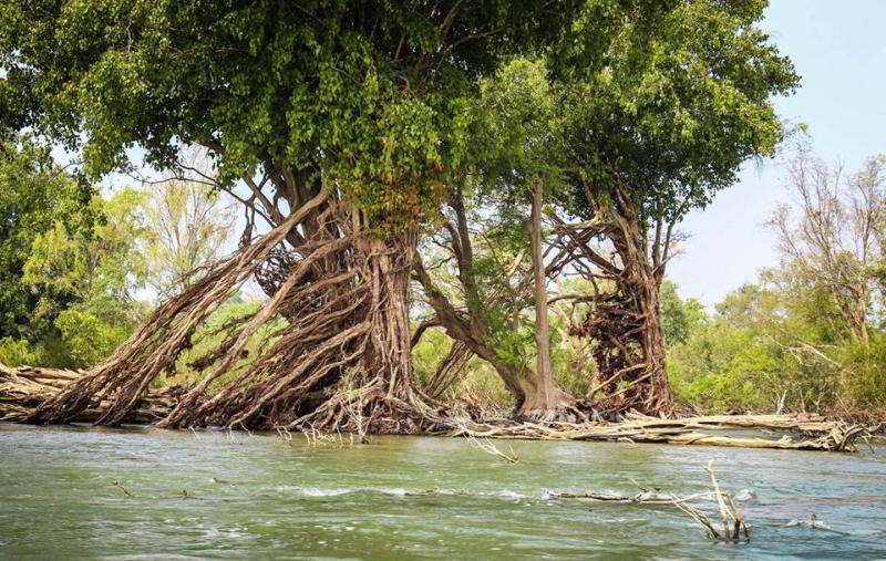 រមណីដ្ឋានបូរីអូរស្វាយ – តំបន់ធម្មជាតិ